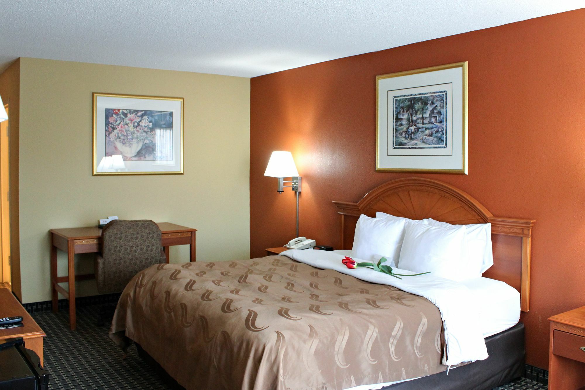 Quality Inn & Suites Cincinnati Шаронвилл Экстерьер фото