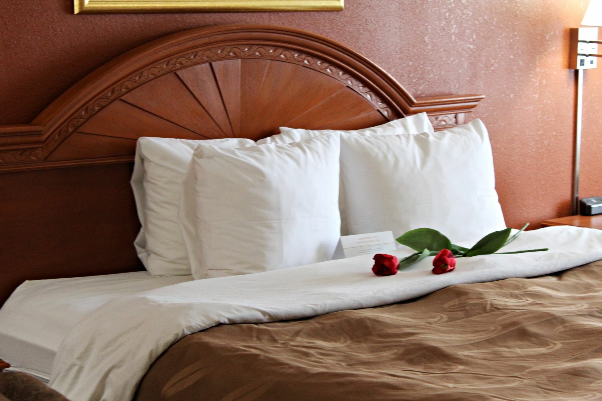 Quality Inn & Suites Cincinnati Шаронвилл Экстерьер фото
